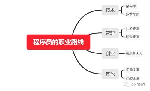 技術總監視角 程序員七載耕耘后的職業發展路線與軟硬件技術開發融合之道