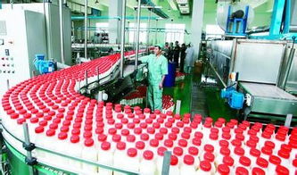 山東首康食品工程技術科技公司 一站式信息技術解決方案，助力飲料與釀造廠高效落地