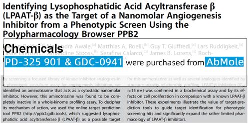 網絡技術研發 實驗室洞察、行業前沿與標準演進